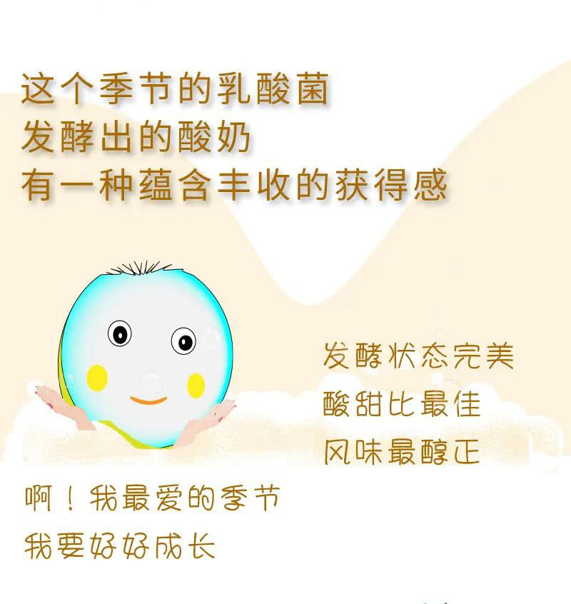 2_01.jpg